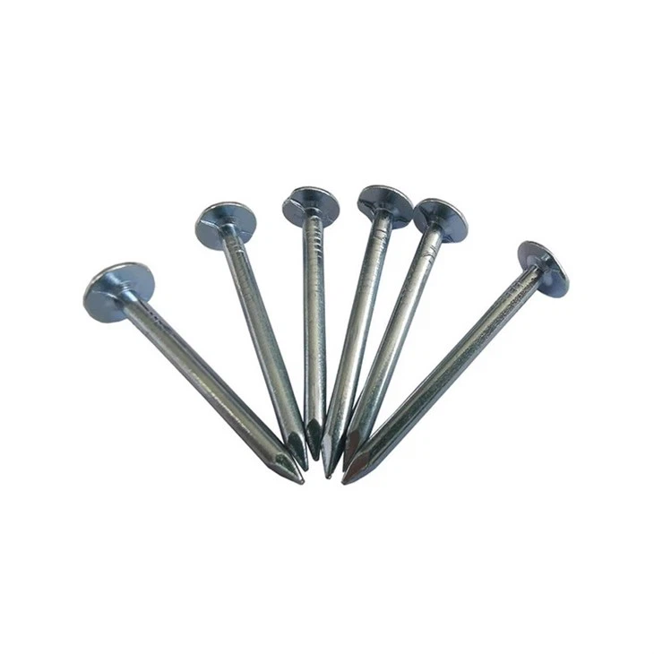 Galvanized Large Head Nails